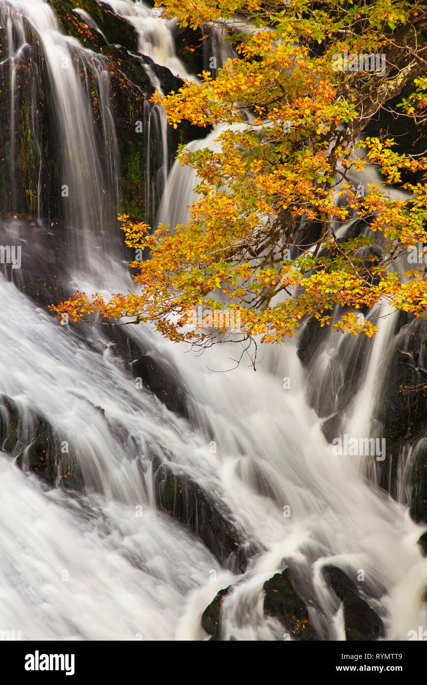 Swallow Falls, Snowdonia, North Wales, UK Stock Photo