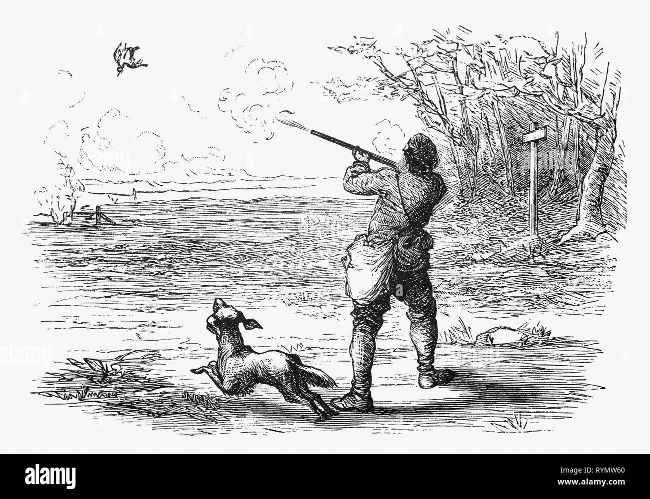 The young hunter shoots a partidge on the heathland. From the Camera Obscura, a 19th Century collection of Dutch humorous-realistic essays, stories and sketches in which Hildebrand, the author, takes an ironic look at the behavior of the 'well-to-do', finding  them bourgeois and without a good word for them. Stock Photo