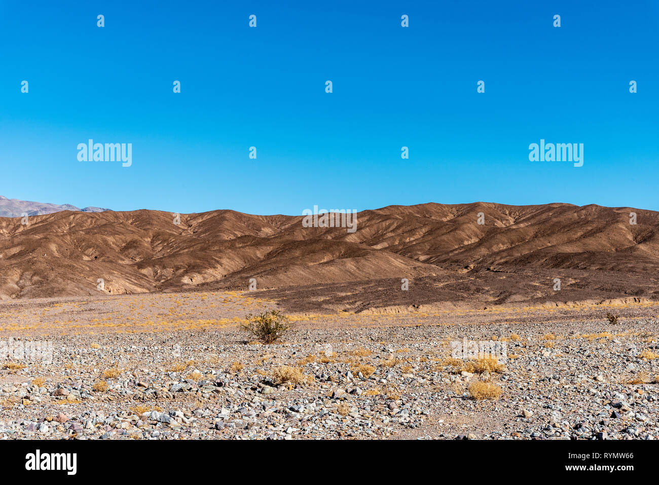Sparce vegetation on rocky desert valley floor giving way to dry brown barren mountains under a blue sky. Stock Photo