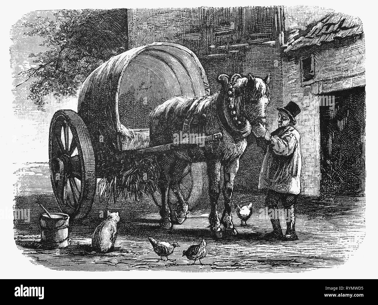 A cart driver puts his big horse into harnass in front of the covered wagon, standing in a small forecourt, where his chickens run around. From the Camera Obscura, a 19th Century collection of Dutch humorous-realistic essays, stories and sketches in which Hildebrand, the author, takes an ironic look at the behavior of the 'well-to-do', finding  them bourgeois and without a good word for them. Stock Photo