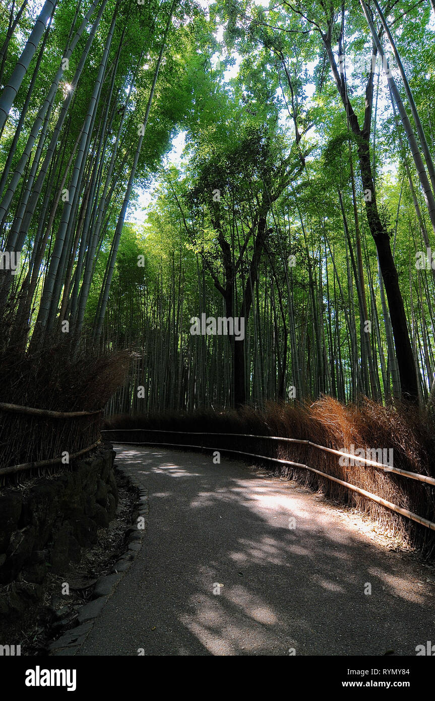 Bamboo walkway hires stock photography and images Alamy