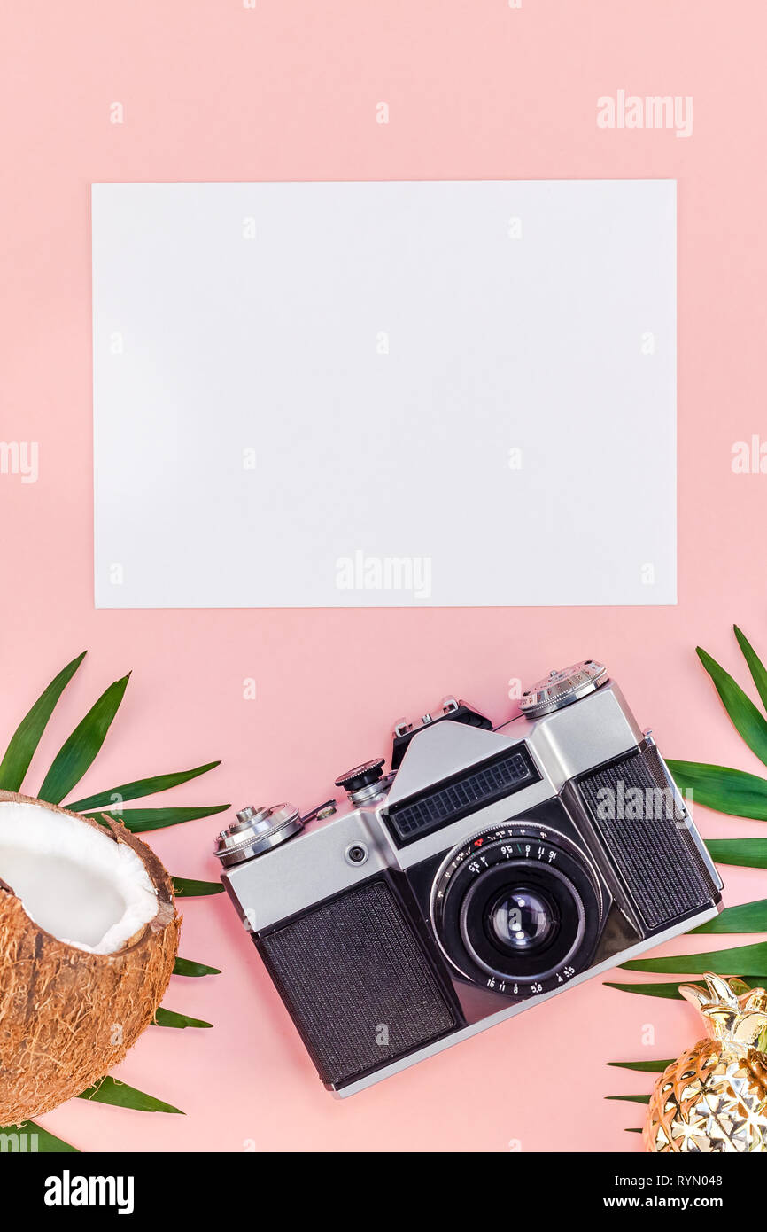 Creative flat lay top view mock up green tropical palm leaves coconuts ...