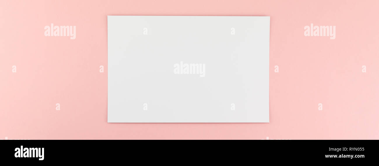 Creative flat lay top view of empty A4 paper page mock up on pastel ...