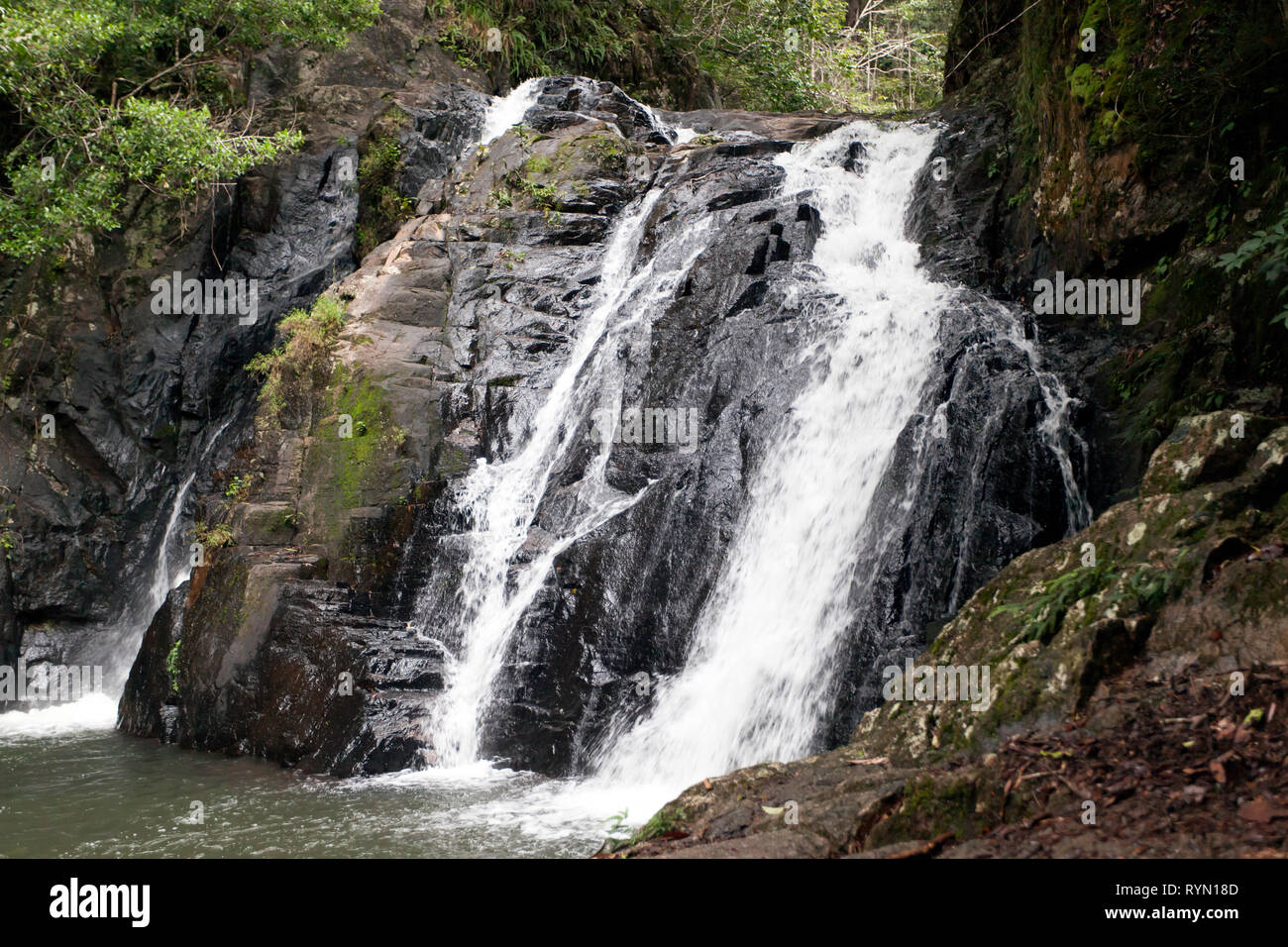 Close-up of part of the Dinner Falls in the  Mount Hypipamee National Park,  Atherton Tableland, Queensland, Australia Stock Photo