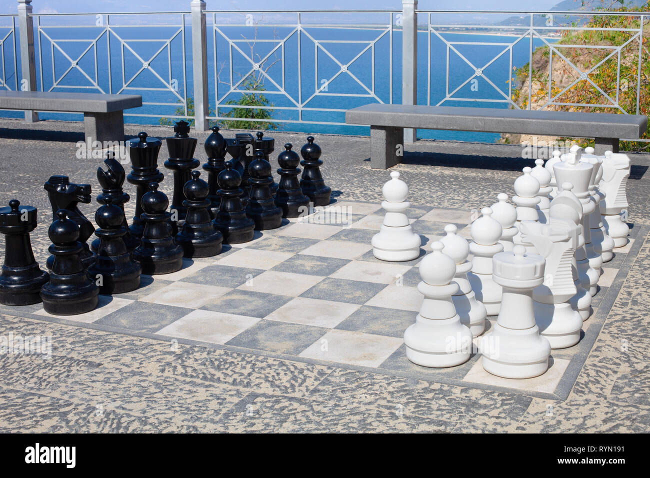 You Have to Sea This Chess Game 