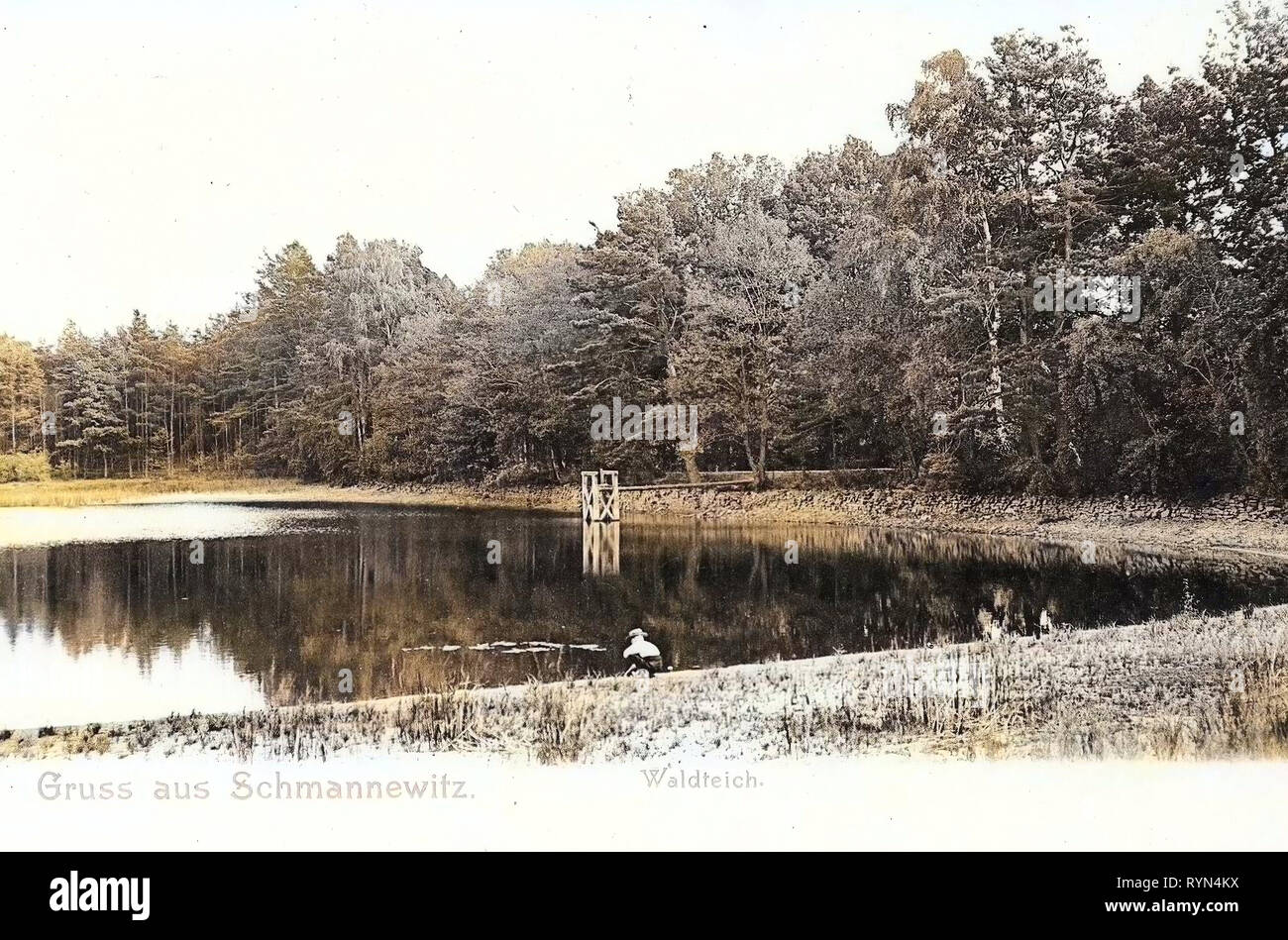 Ponds in Landkreis Nordsachsen, Dahlen, 1904, Landkreis Nordsachsen, Schmannewitz, Waldteich mit Freibad, Germany Stock Photo