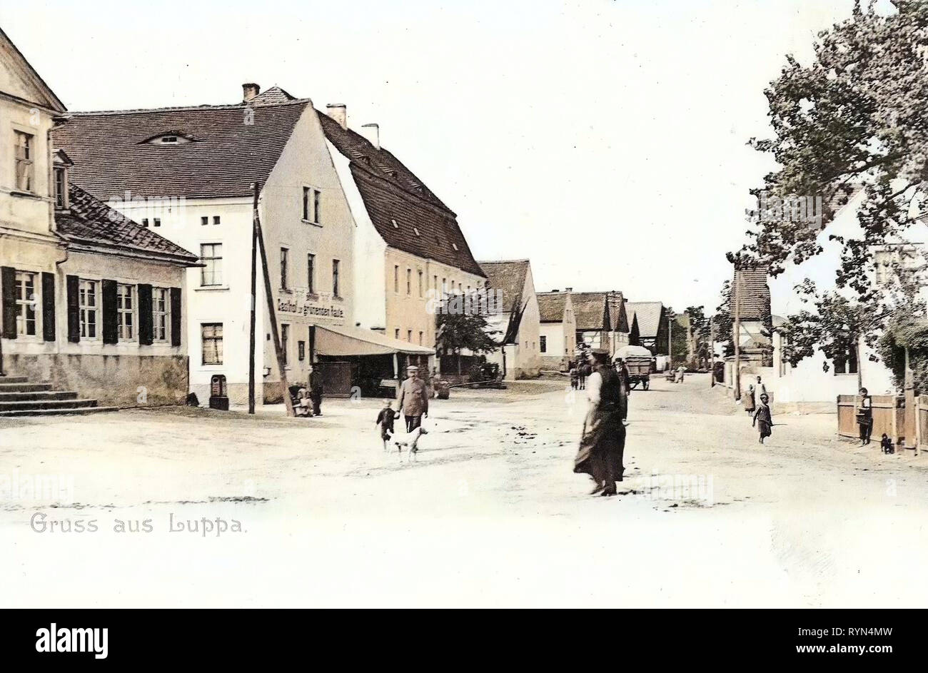 Are Dogs Allowed In Restaurants In Germany