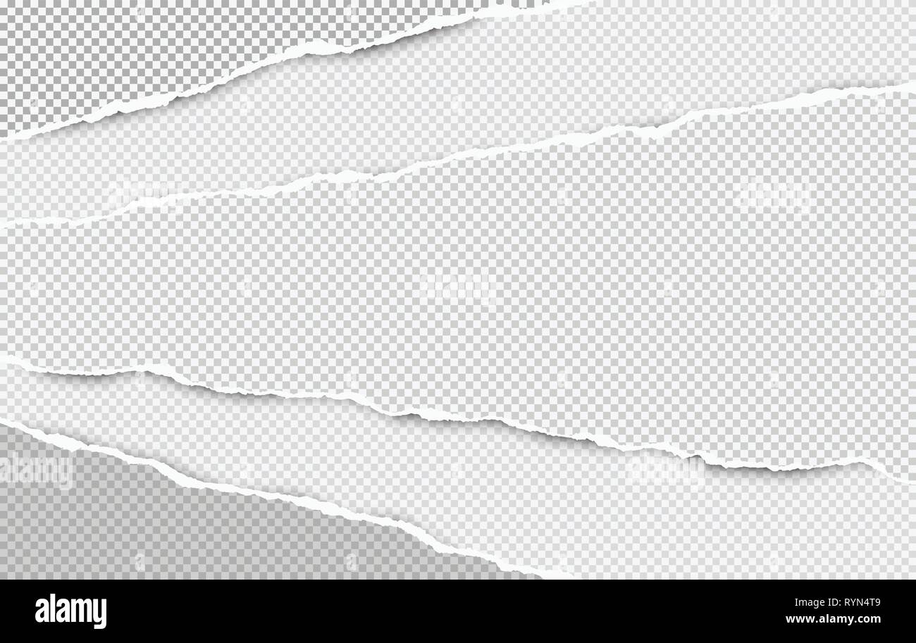 Torn squared white horizontal paper strips with space for text. Vector illustration background Stock Vector