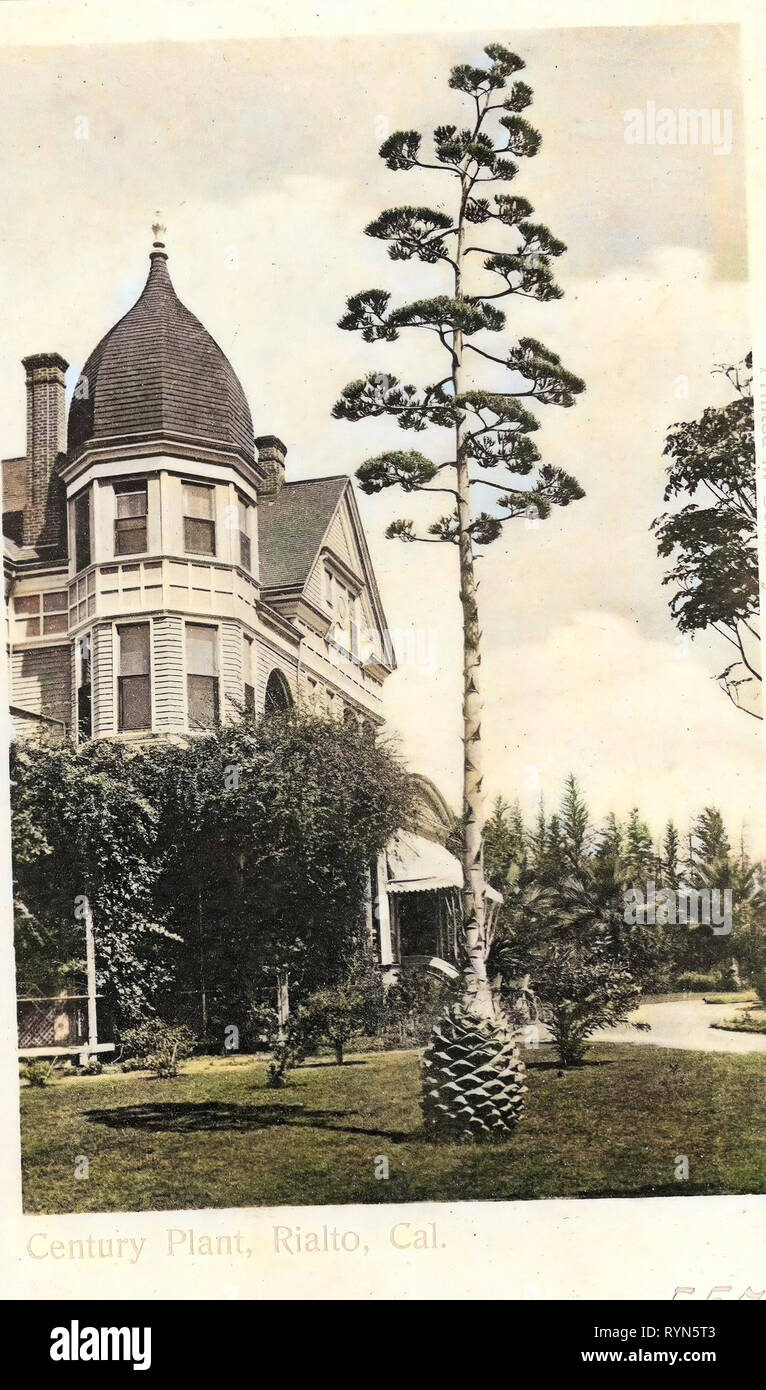 1904 century hires stock photography and images Alamy