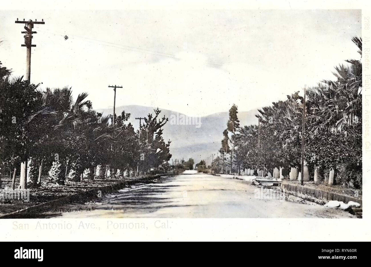 Avenues in the United States, Pomona, California, 1904, San Antonio Ave Stock Photo
