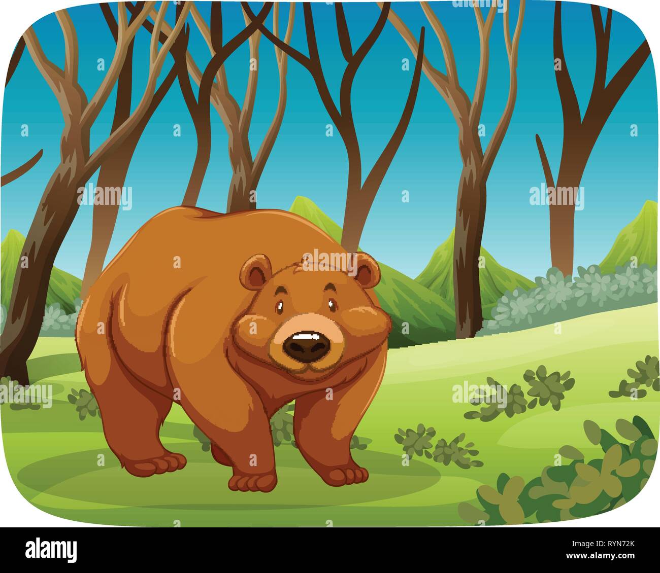 A grizzly bear in forest illustration Stock Vector Image & Art - Alamy