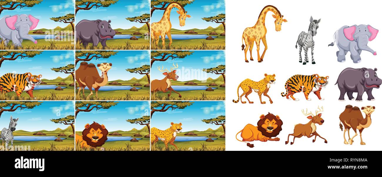 Set of wild animal in nature illustration Stock Vector Image & Art - Alamy