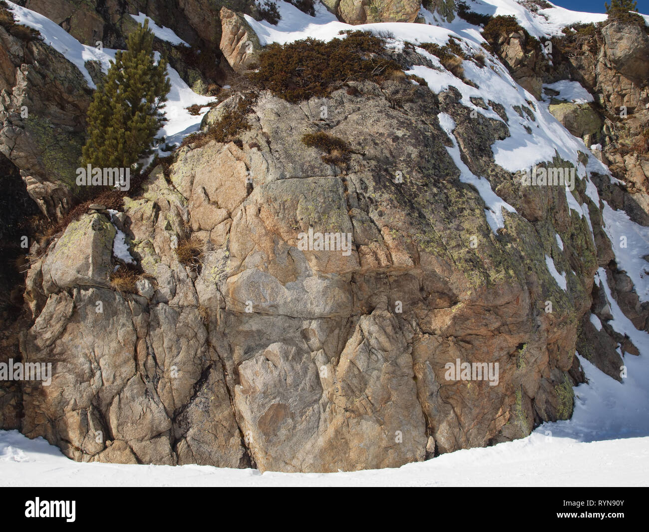Ancient rock covered with moss and snow Stock Photo - Alamy