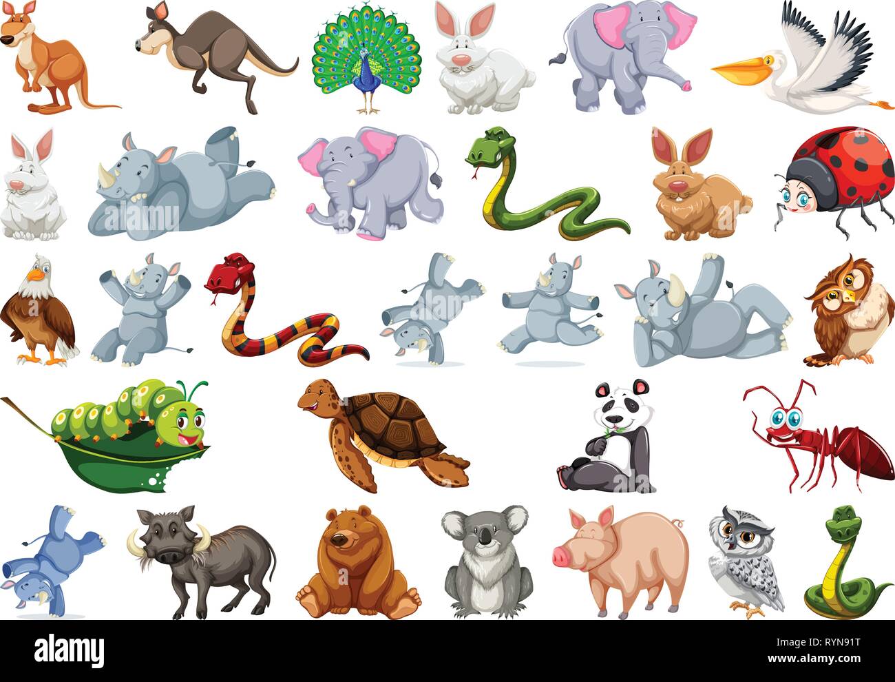 Set of wild animal illustration Stock Vector Image & Art - Alamy