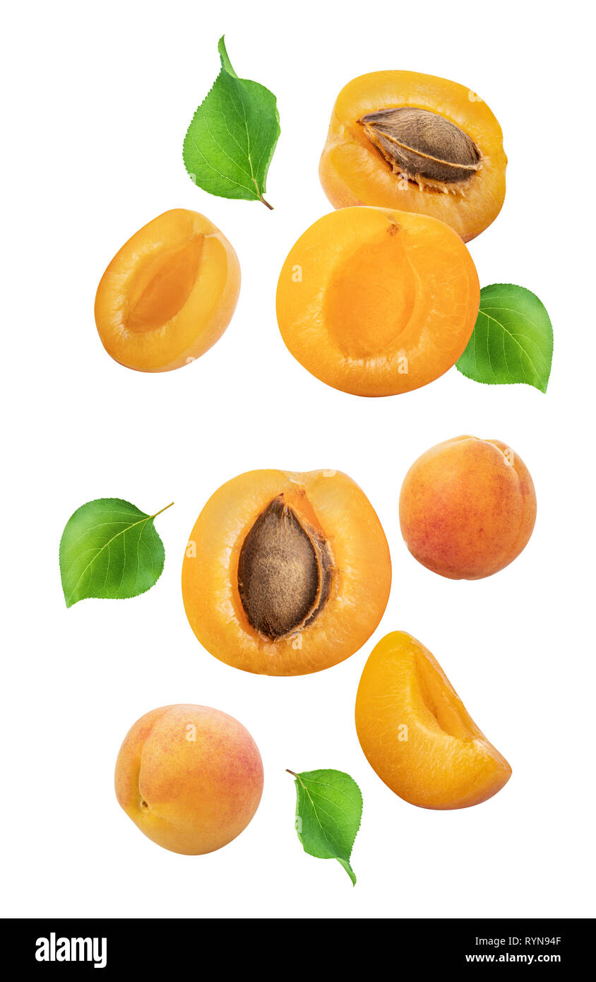 Falling apricots isolated on white background. Clippin path Stock Photo