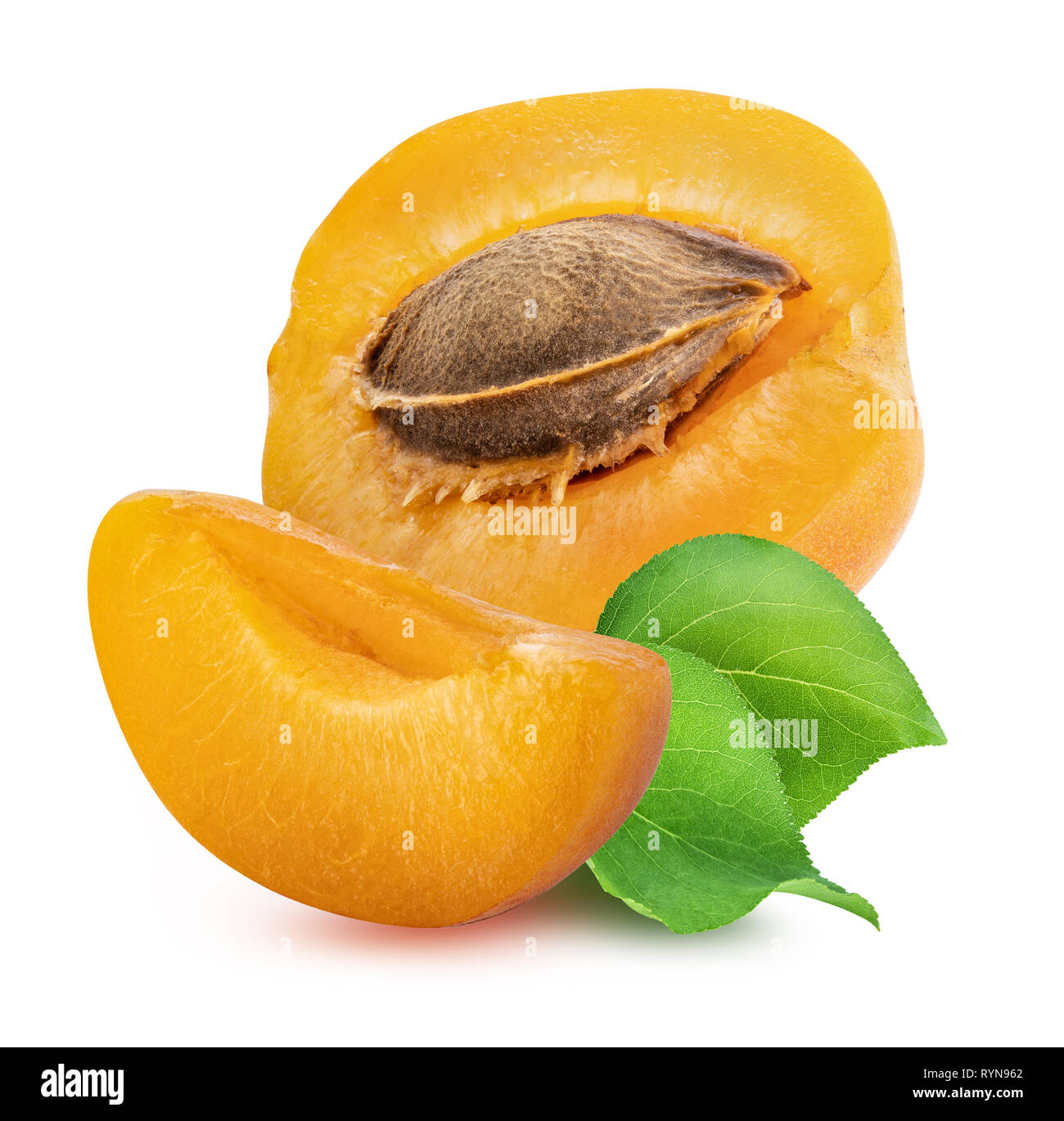 Apricots isolated on white background. Clippin path Stock Photo