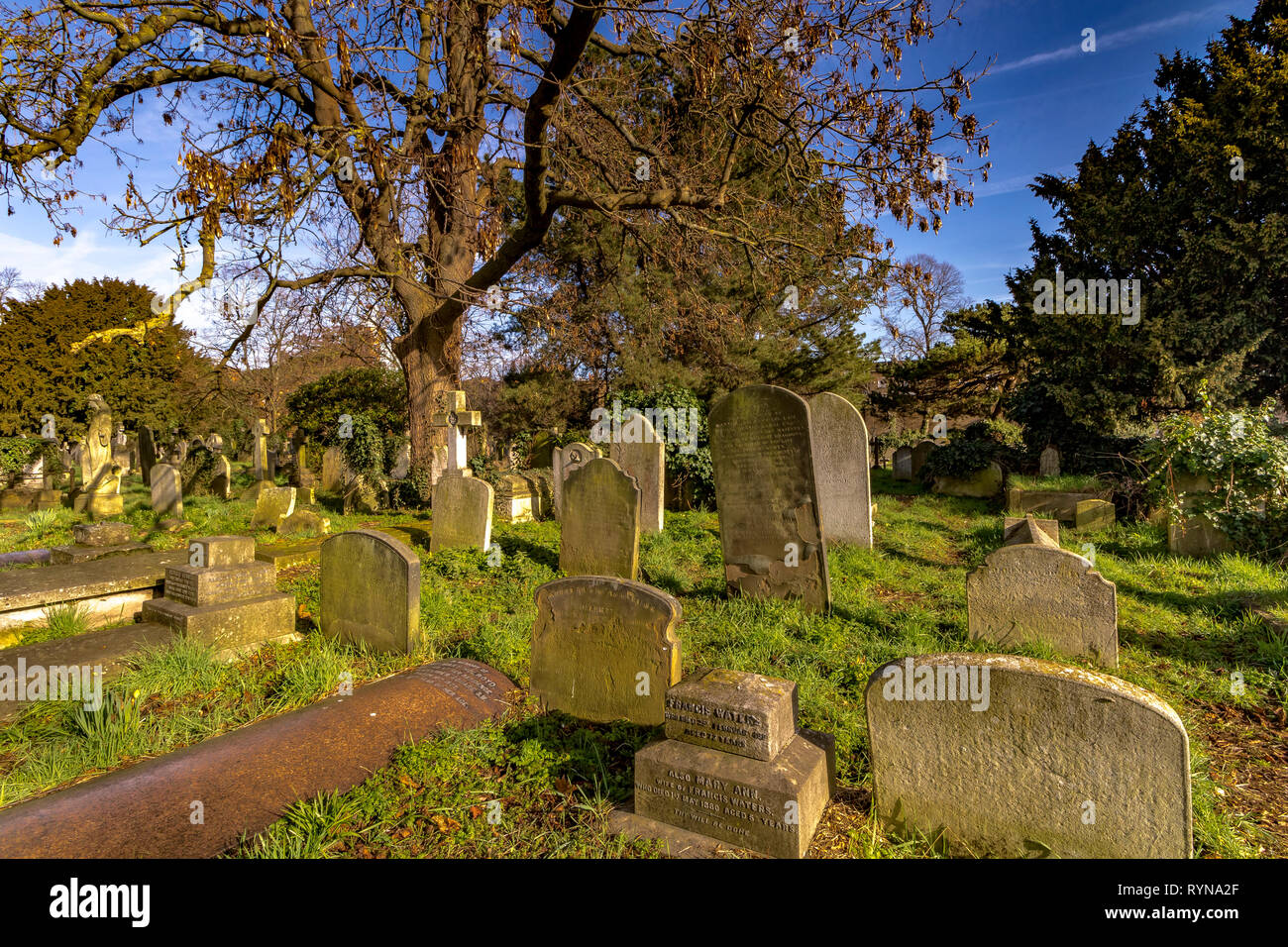 Graves and headstones in Brompton Cemetery in the Royal Borough of