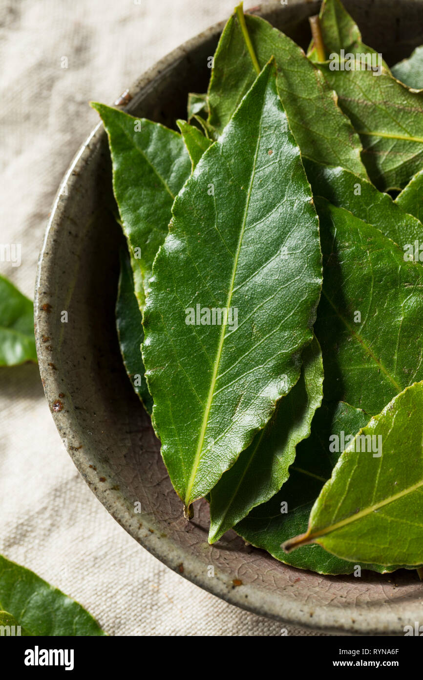 Raw Green Organic Bay Leaves Ready to Cook With Stock Photo Alamy
