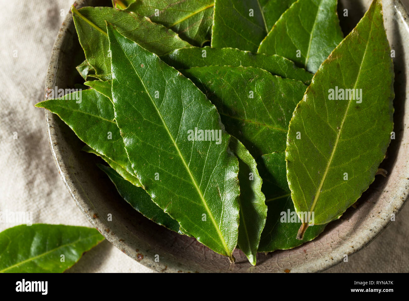 Raw Green Organic Bay Leaves Ready to Cook With Stock Photo Alamy