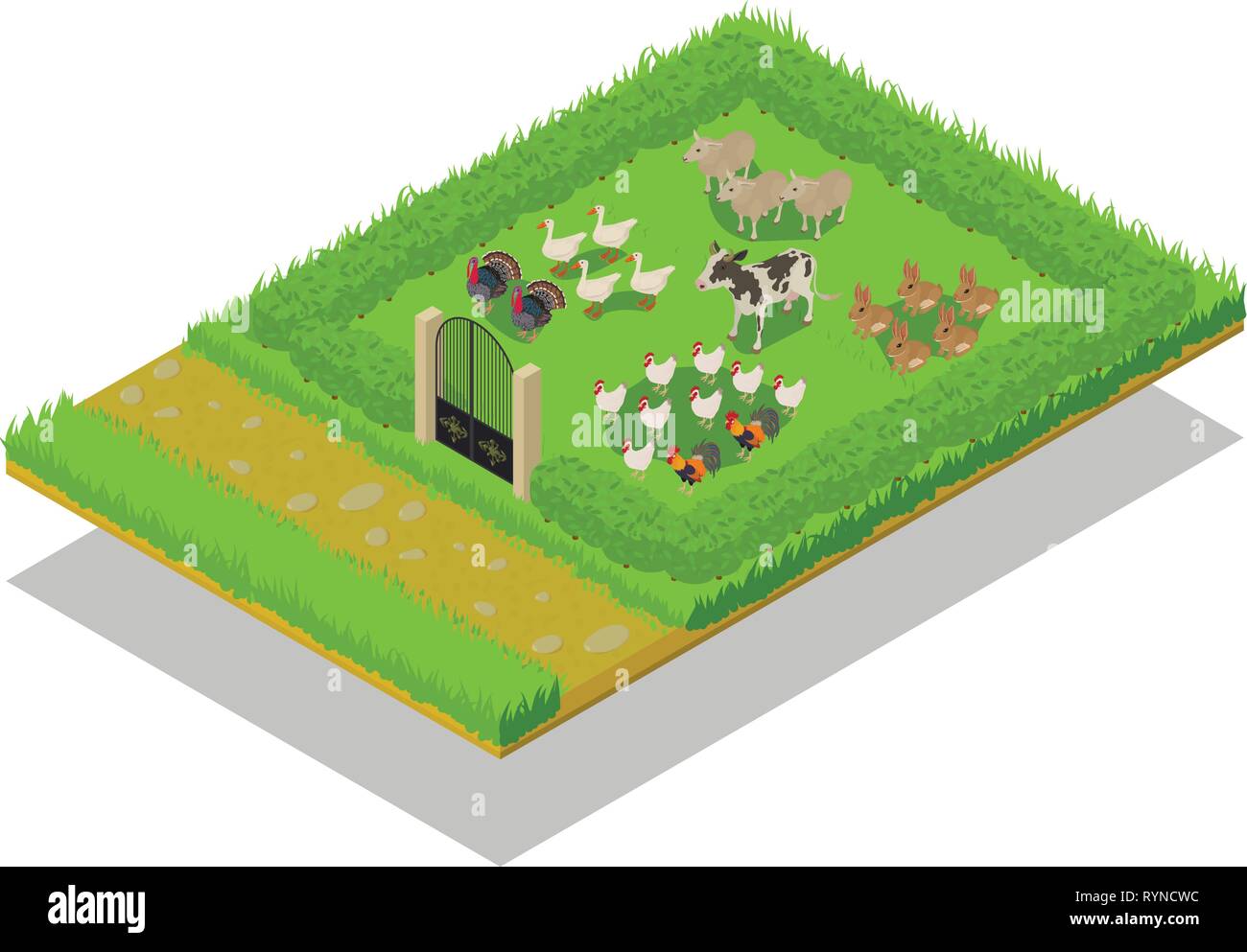 Livestock concept banner, isometric style Stock Vector Image & Art - Alamy
