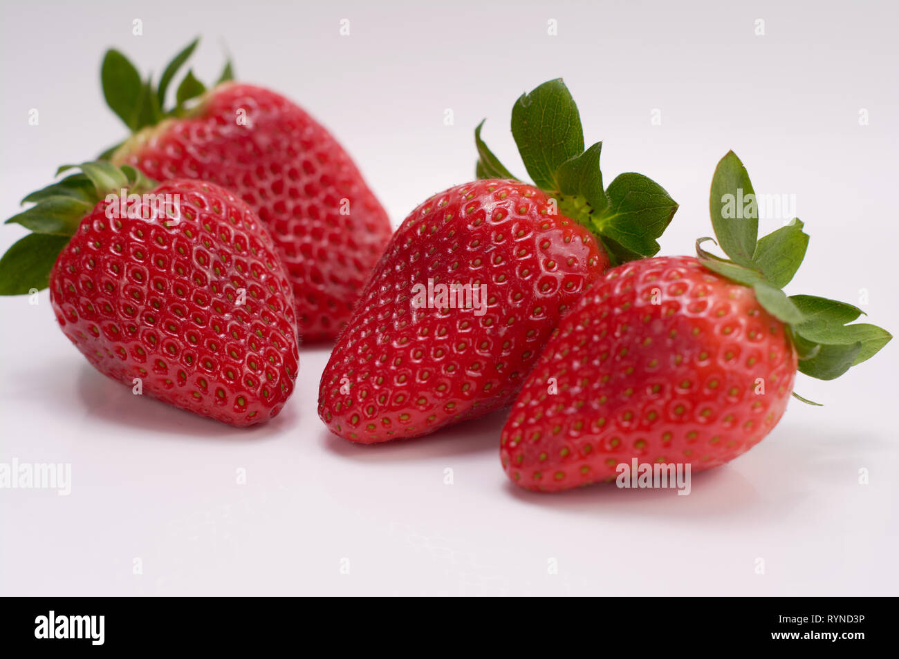 close up picture of fresh strawberries with white background Stock ...