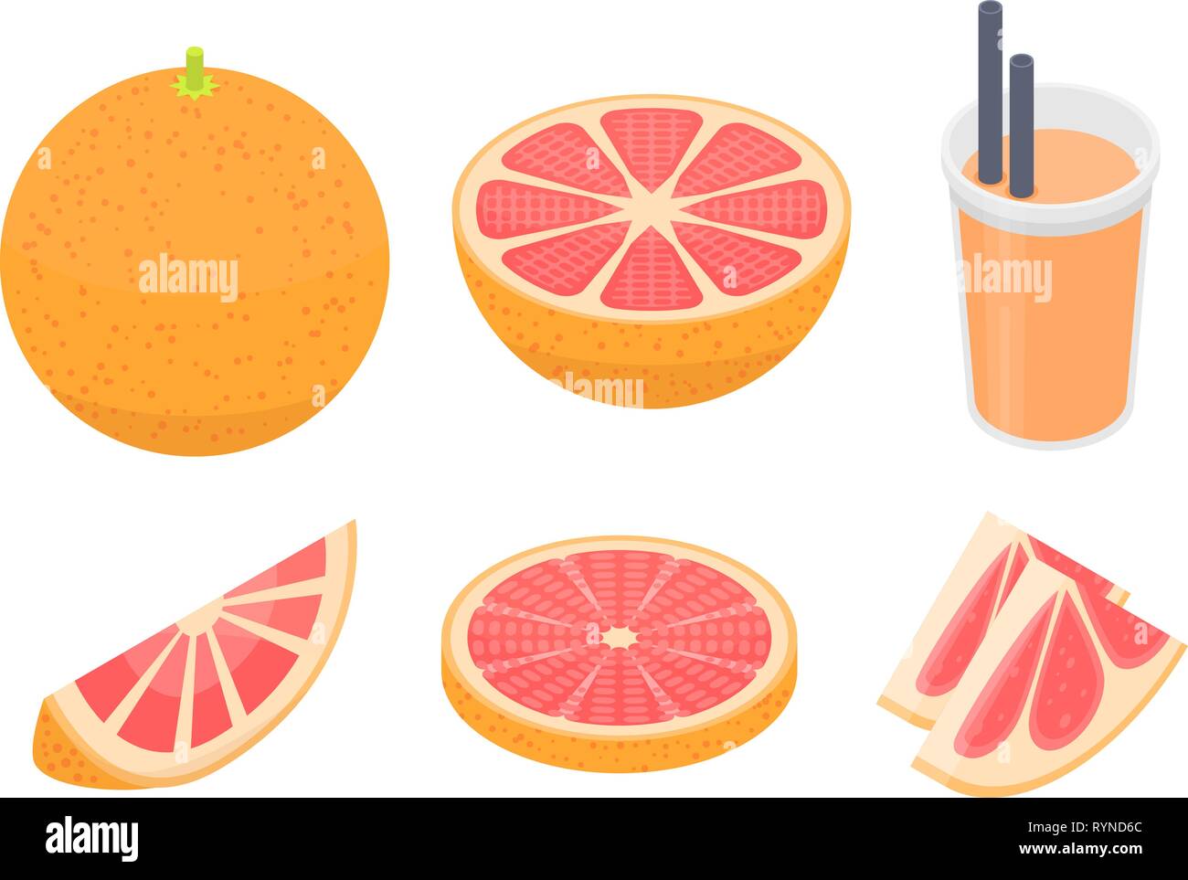 Red grapefruit tree Stock Vector Images - Alamy