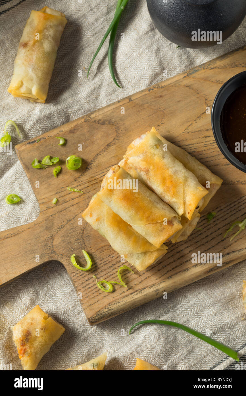 Homemade Fried Vegetable Egg Rolls Ready to Eat Stock Photo