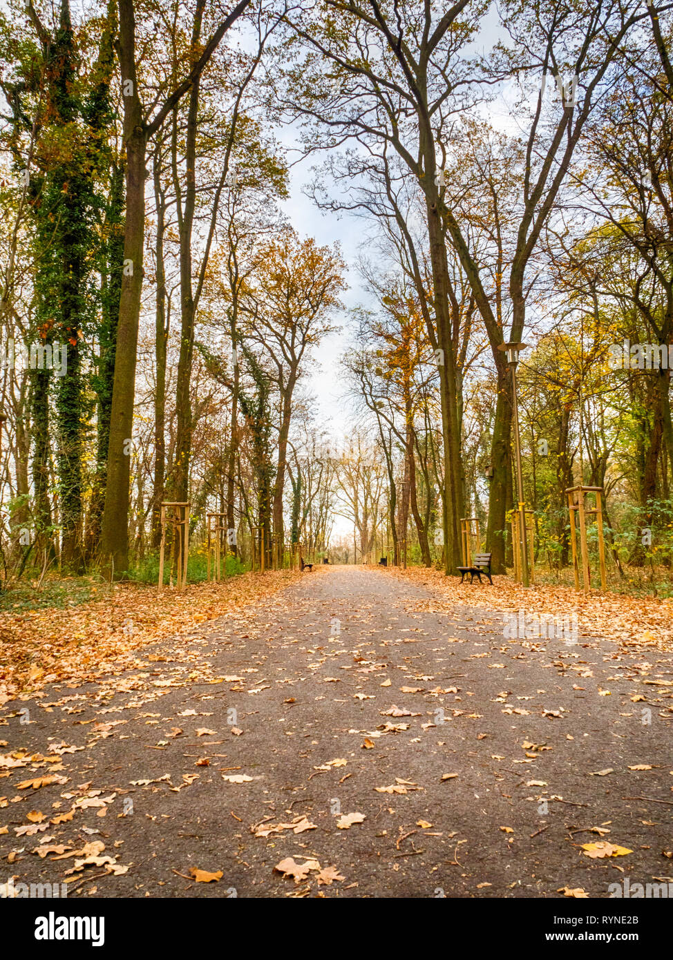 Autumn in the park Stock Photo - Alamy