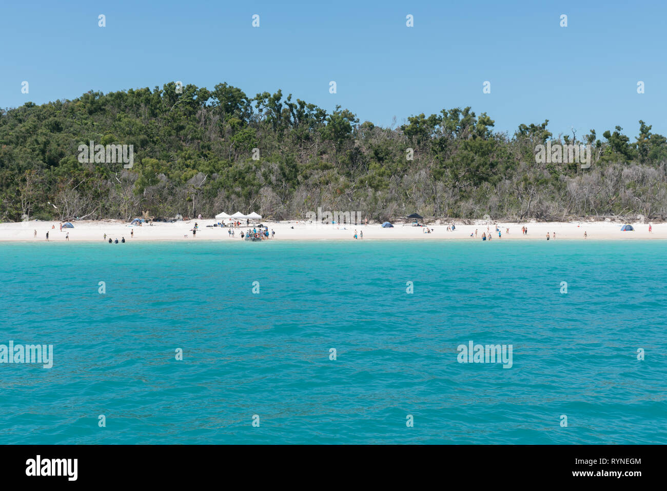 Many people enjoying beautiful Whitehaven Beach on Hamilton Island, Australia Stock Photo