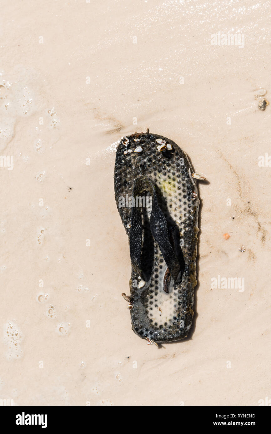Washed up old thong / flip flop with barnacles on beach Stock Photo