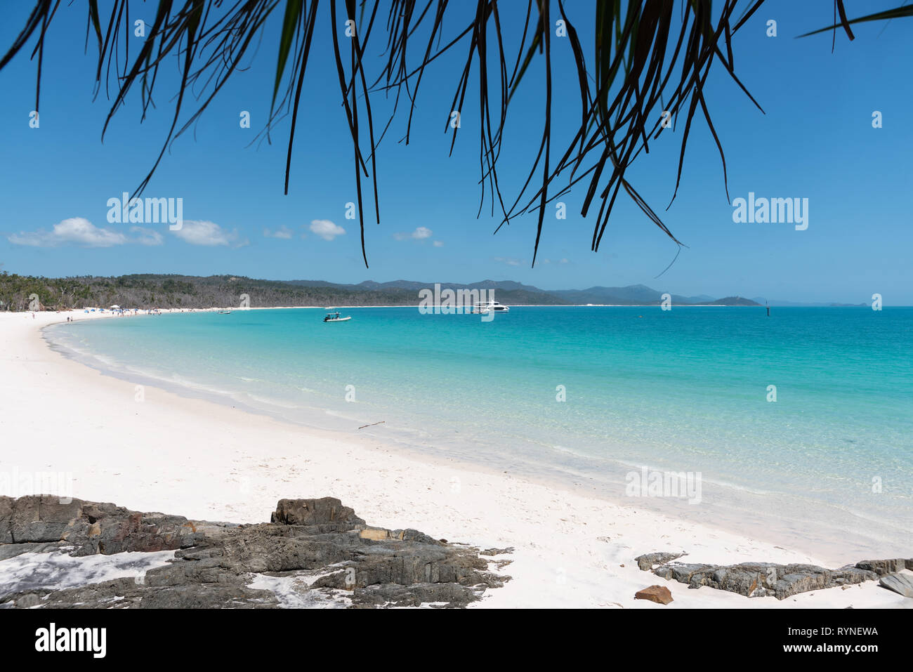 Beautiful white beach and turquoise water of Whitehaven Beach in The Whitsundays Stock Photo