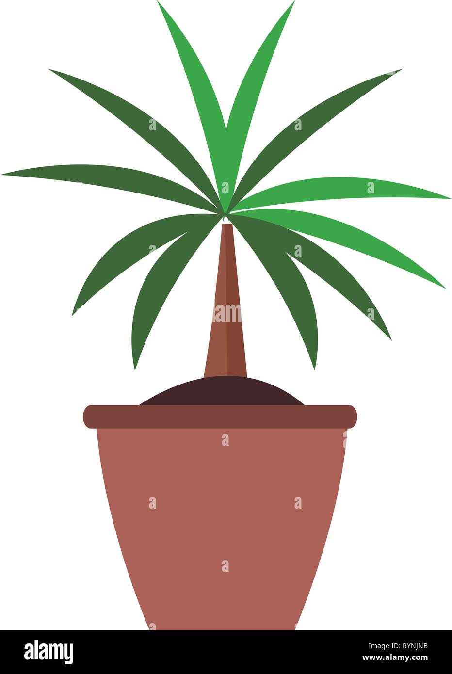 plant nature indoor Stock Vector Image & Art - Alamy