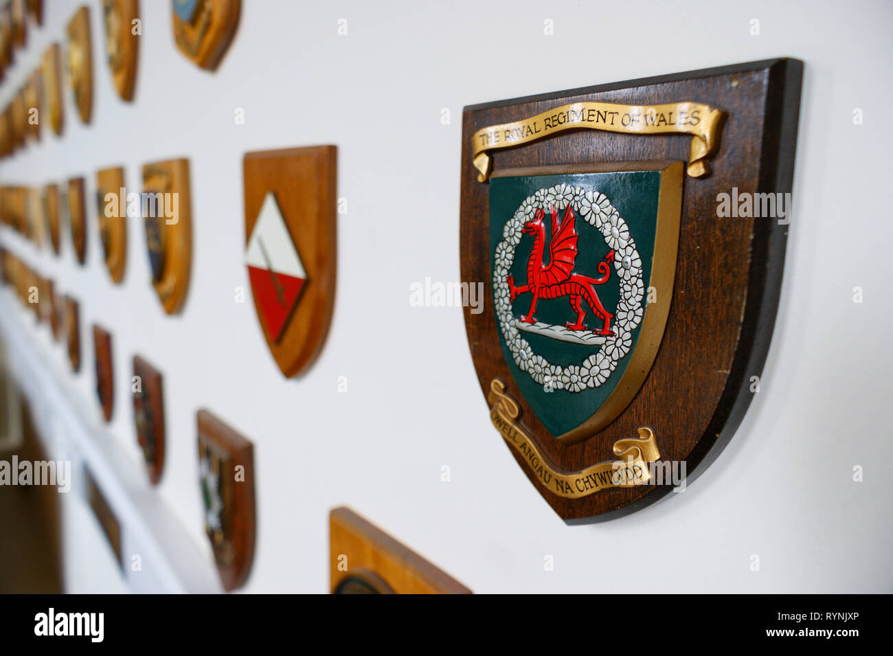 The Royal Regiment of Wales crest on a wooden plaque. Stock Photo