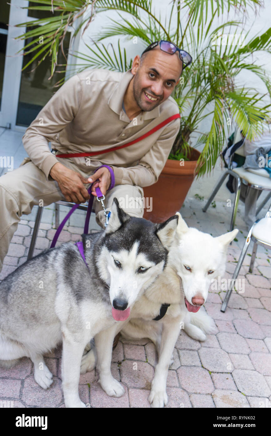 Miami Florida,Temple Israel,Bow Wow Palooza Interfaith Blessing of the Animals,owner,dog dogs,two,dogs,pet pets,Siberian Husky,leash,lead,sitting seat Stock Photo