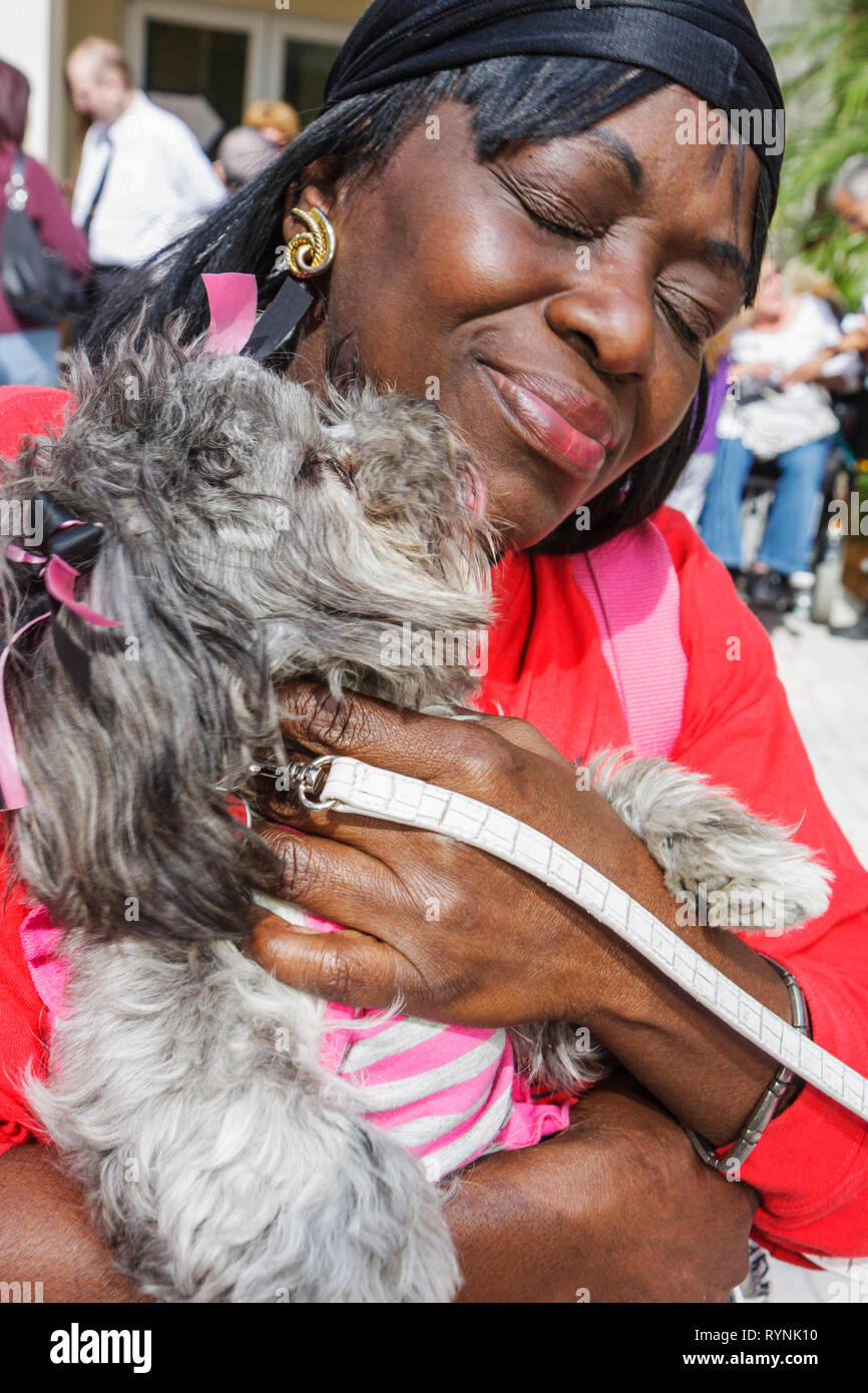 Miami Florida,Temple Israel,Bow Wow Palooza Interfaith Blessing of the Animals,owner,dog dogs,pet pets,gray,hairy,small breed,Black Blacks African Afr Stock Photo