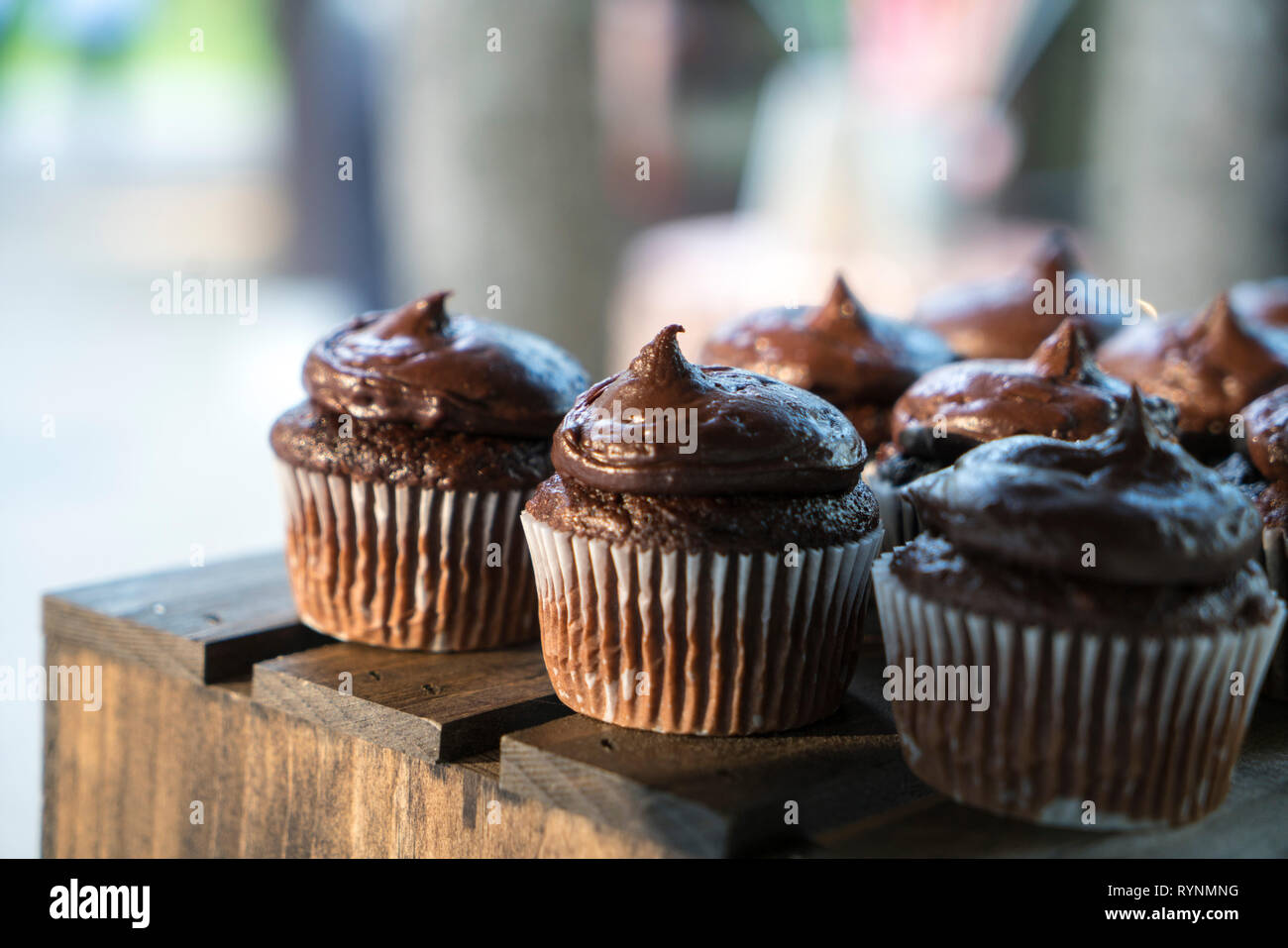 Rich Chocolate Cupcakes on Display Stock Photo