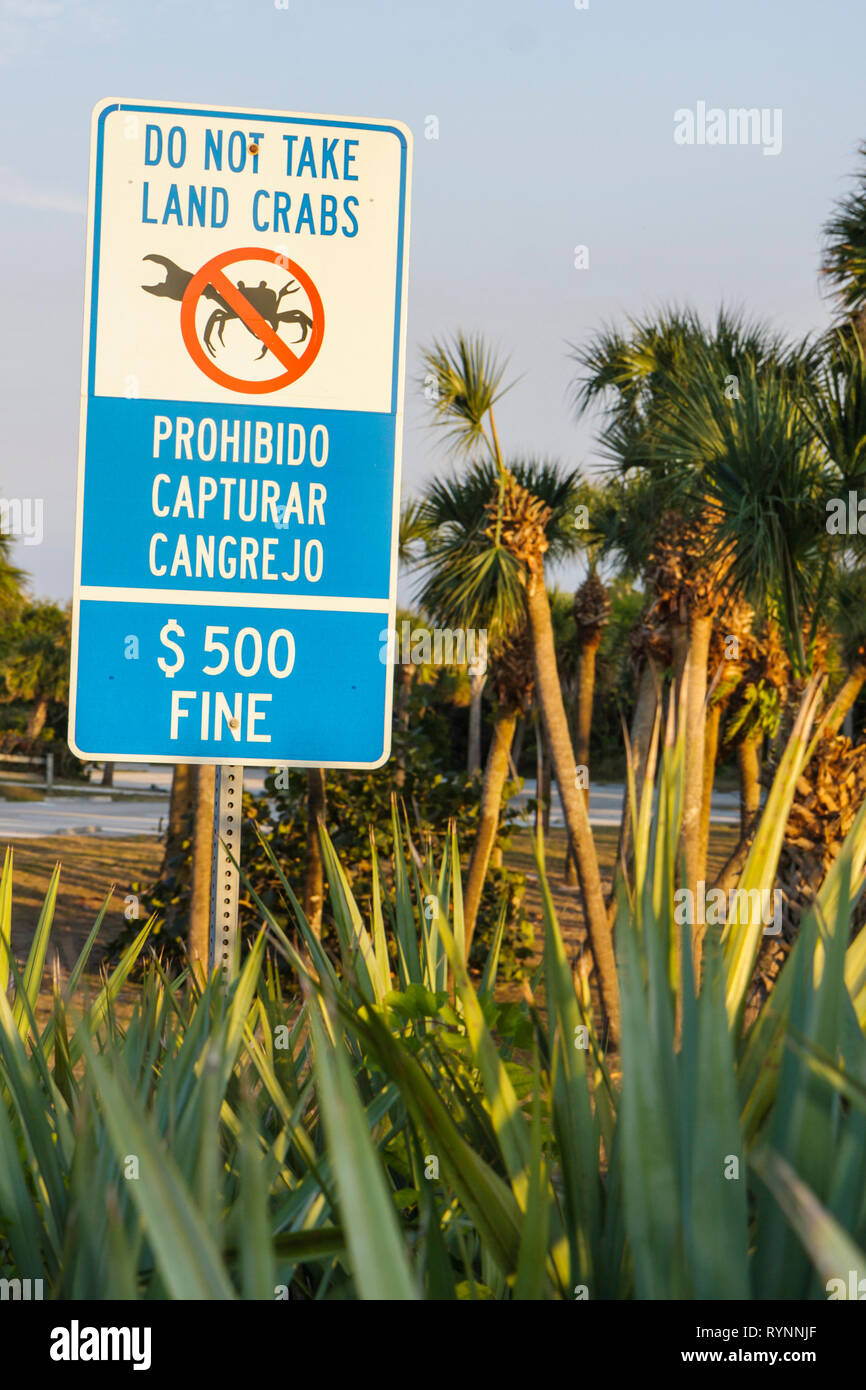 Florida Saint St. Lucie County,Fort Ft. Pierce,A1A,North Hutchinson Barrier Island,habitat,protection,sign,do not take land crab,bilingual,Spanish,Eng Stock Photo
