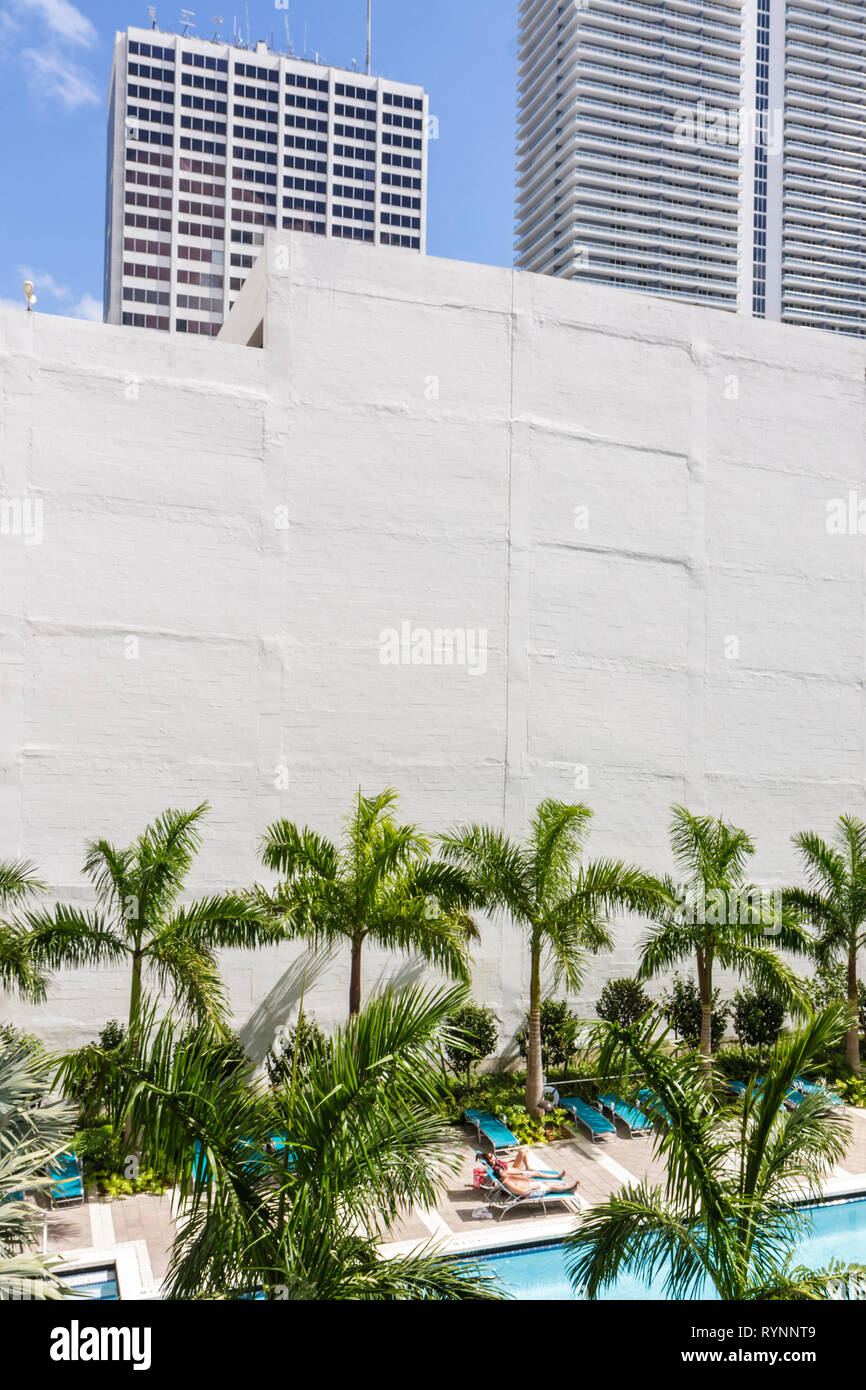 Miami Florida,downtown,urban living,pool,lounge chair,palm trees,man men male,woman female women,couple,sunbathing,leisure,blank wall,privacy,FL090222 Stock Photo