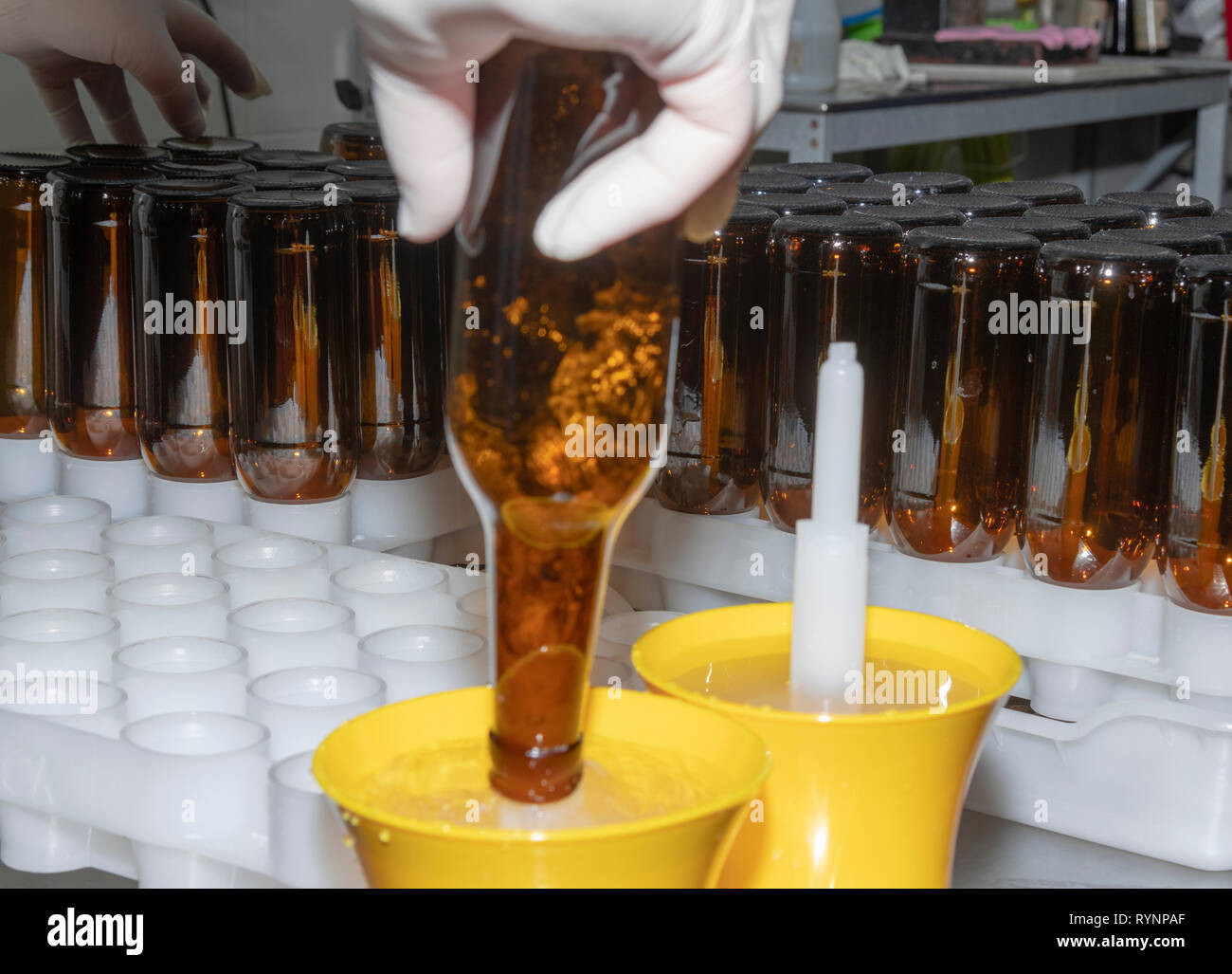 manual washing of beer bottles in a craft factory Stock Photo Alamy
