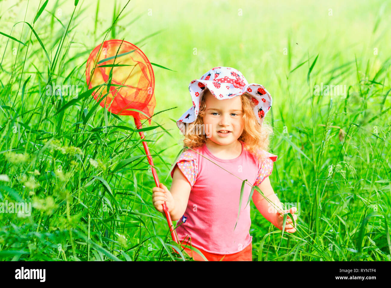 girl with a net among the summer green grass Stock Photo - Alamy
