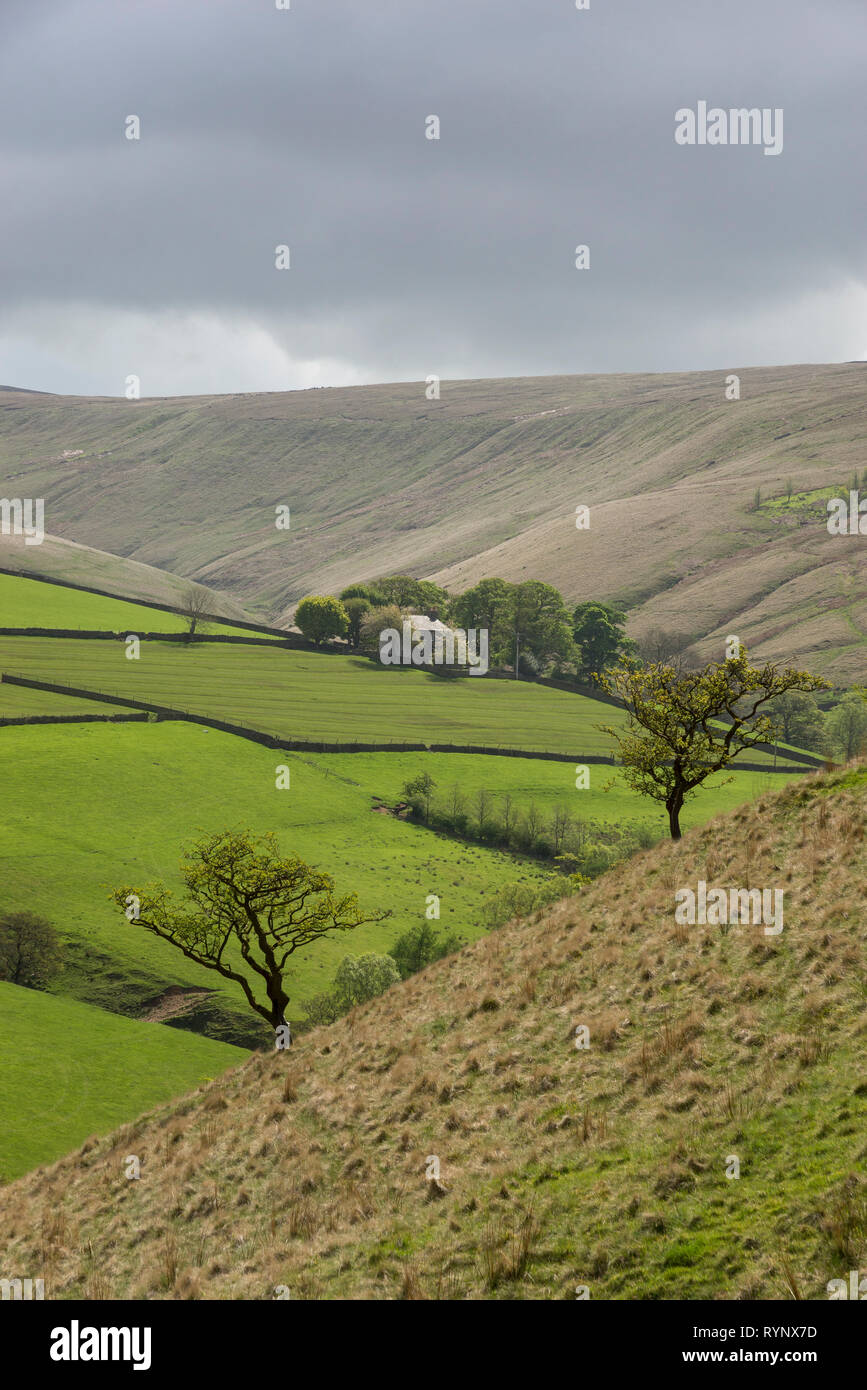 Farmhouse in the remote hills of the Peak District, Hayfield