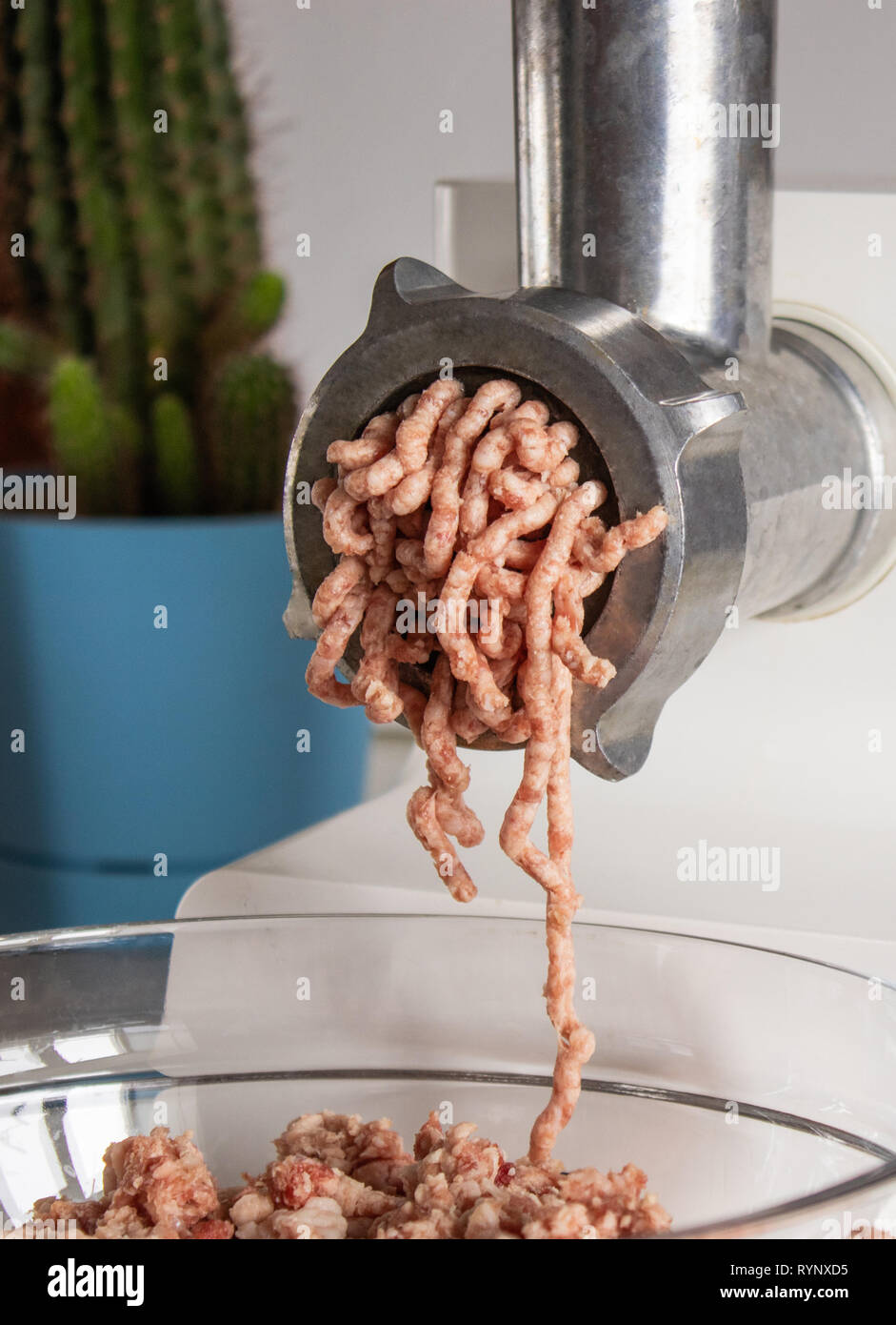 Ground beef is ground through a meat chopper, closeup Stock Photo Alamy