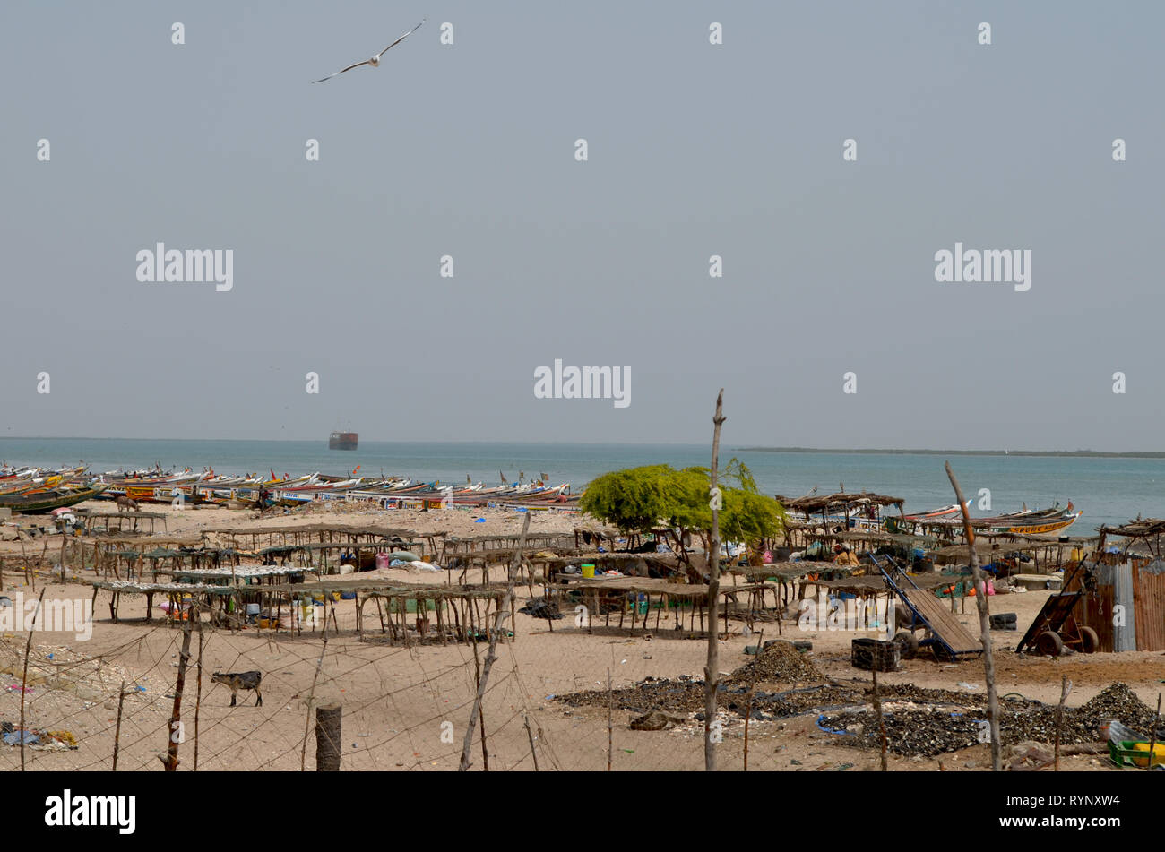Sardinella landing and drying areas in the coastal village of Djiffère, Senegal Stock Photo