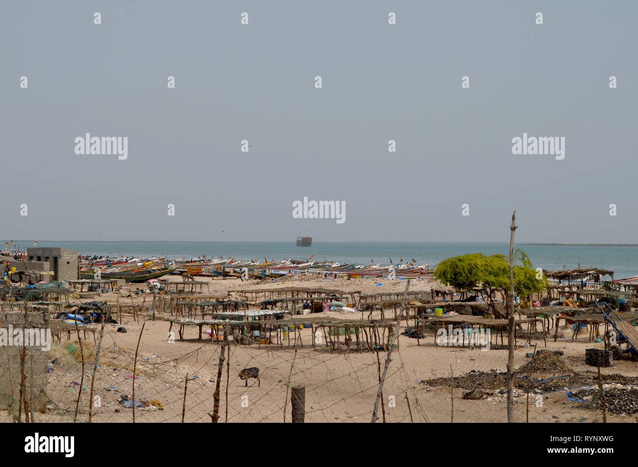 Sardinella landing and drying areas in the coastal village of Djiffère, Senegal Stock Photo