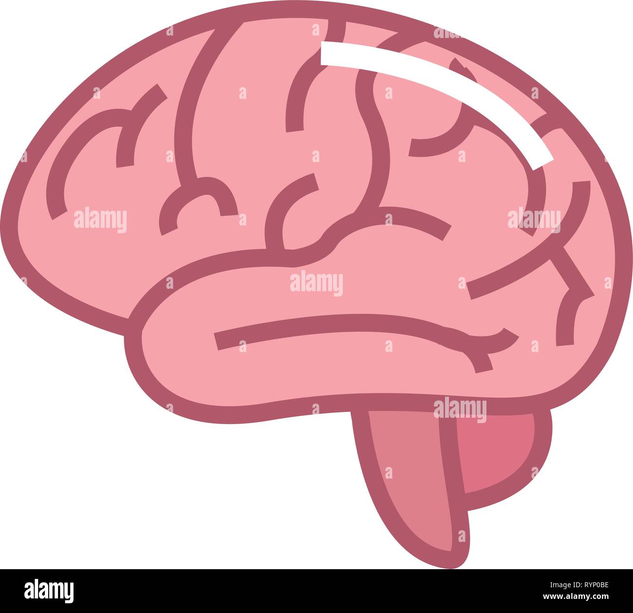 human brain organ on white background vector illustration Stock Vector ...
