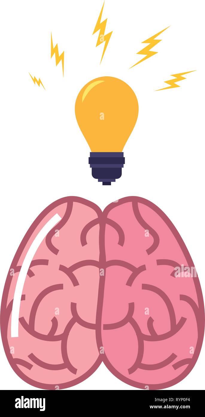 human brain bulb creativity on white background vector illustration ...