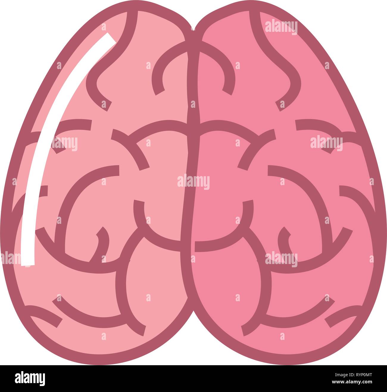human brain organ on white background vector illustration Stock Vector ...