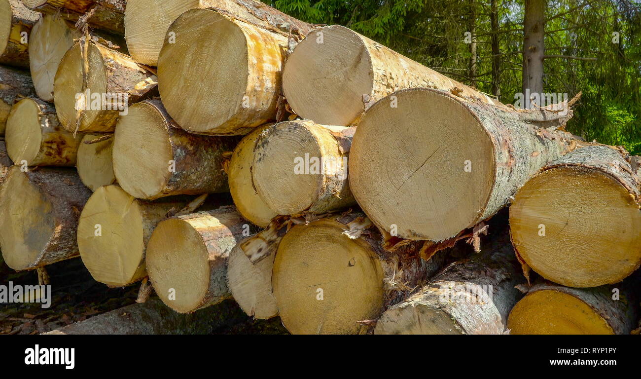 Spruce logs hi-res stock photography and images - Alamy