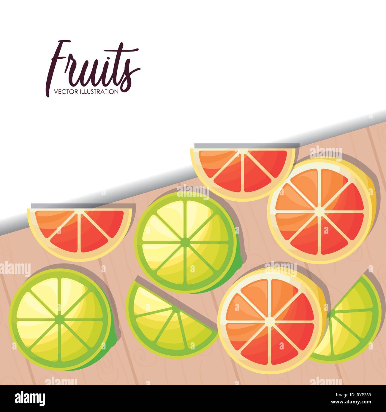 fresh oranges with lemons sliced fruits vector illustration design ...