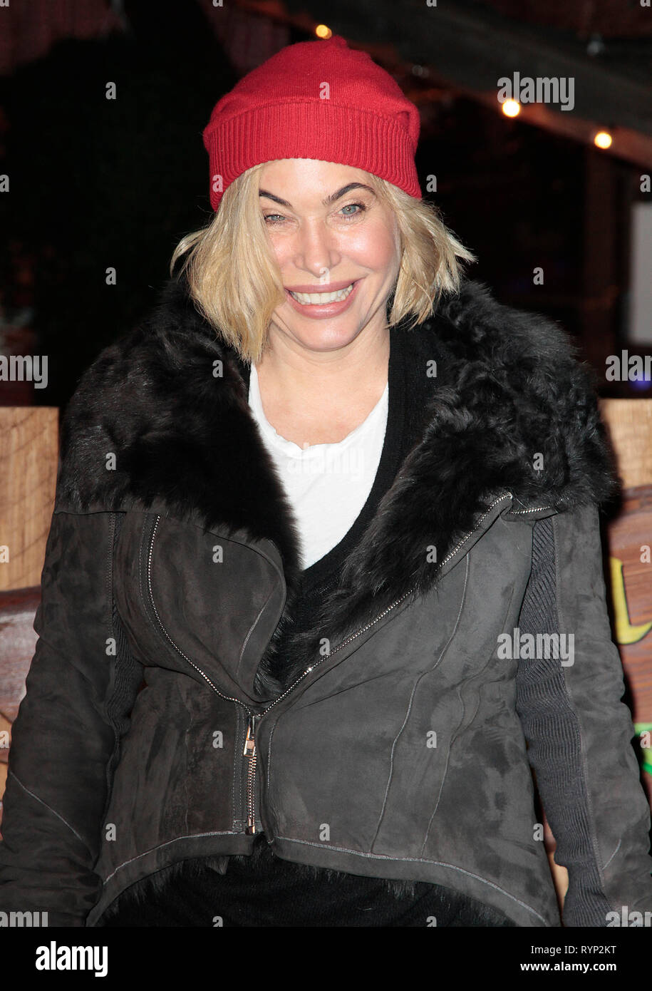 Nov 20 2014 London England Uk Winter Wonderland Vip Opening Hyde Park London Photo Nov 20 2014 London England Uk Winter Wonderland Vip Opening Hyde Park London Photo